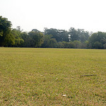 O Parque do Ibirapuera, por http://www.flickr.com/photos/soldon/